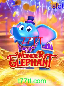 WonderElephant: O Jogo que Está Revolucionando o Entretenimento